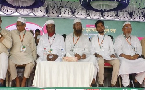 ভোটের রায় নিয়ে ছিনিমিনি খেললে তারেক রহমানও হাসিনার পথে যাবেন: মামুনুল হক